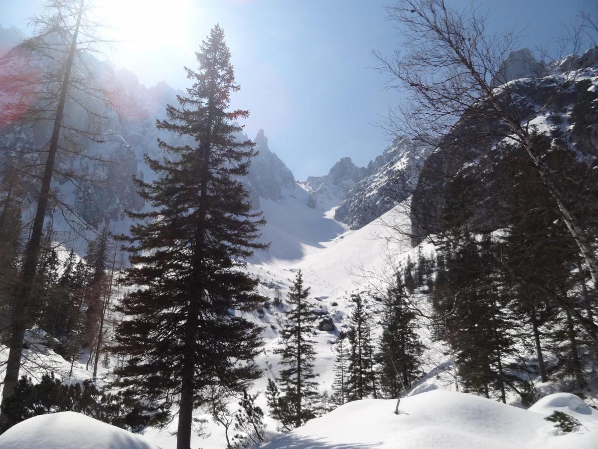 Apartmenthaus Edelweiss In Gosau Dış mekan fotoğraf