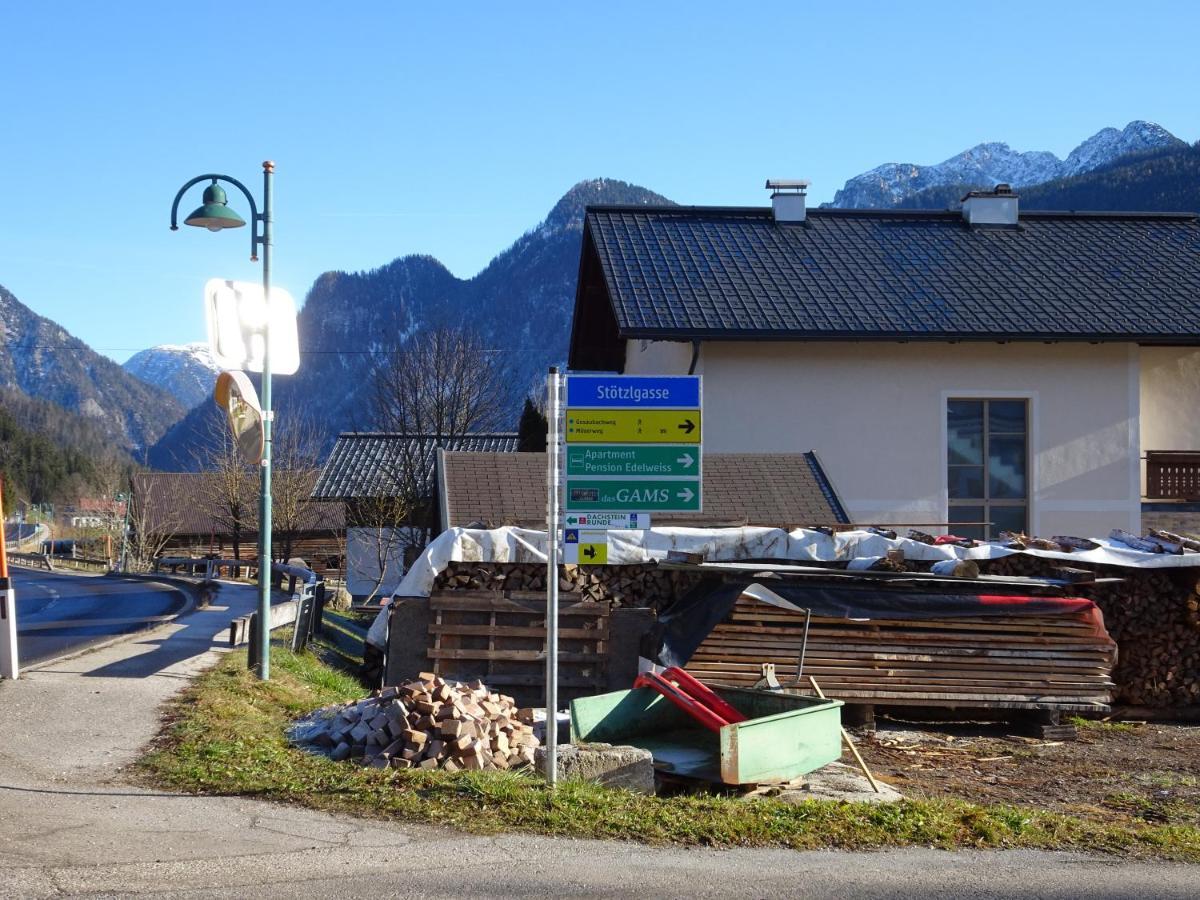 Apartmenthaus Edelweiss In Gosau Dış mekan fotoğraf