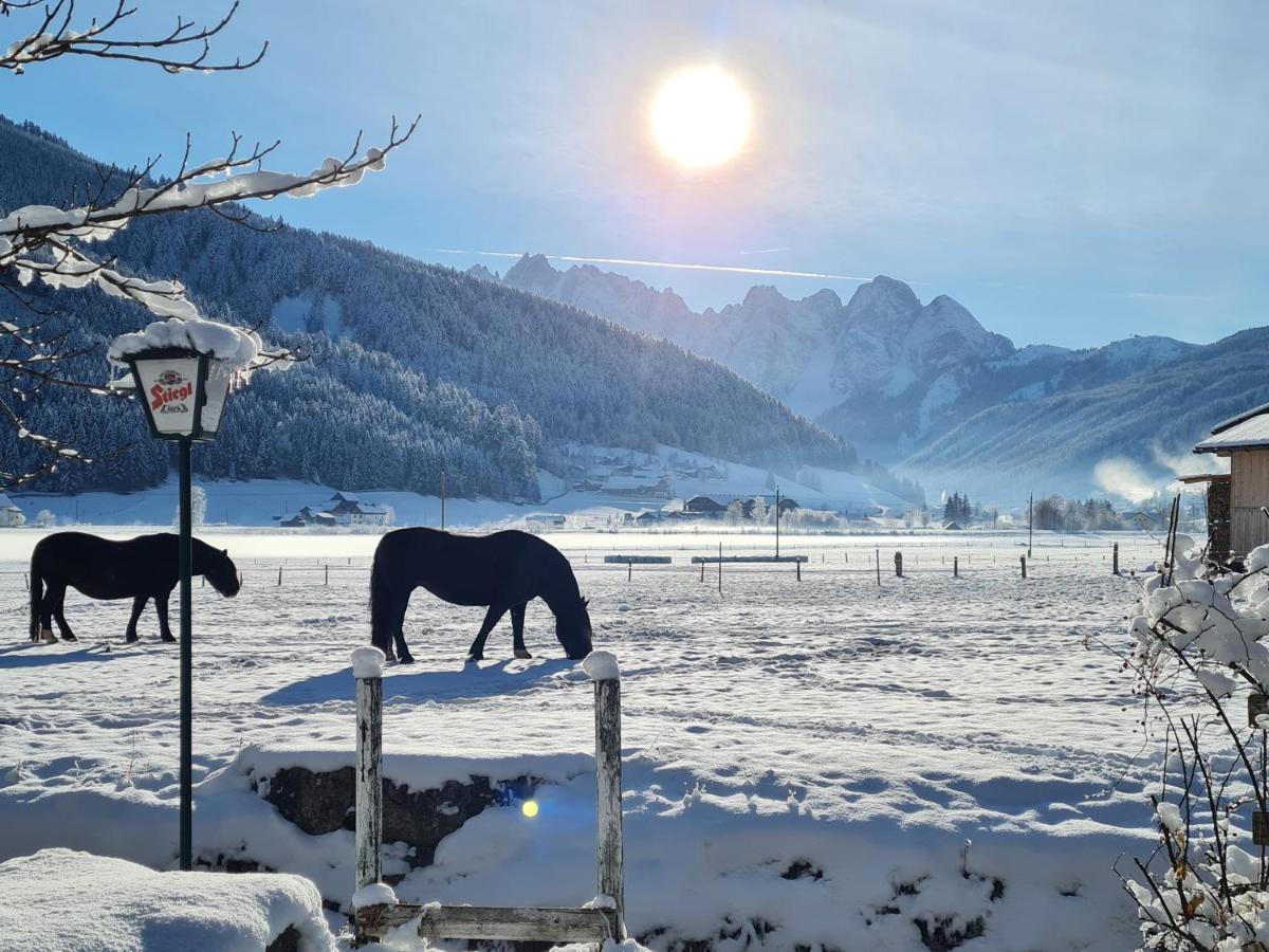 Apartmenthaus Edelweiss In Gosau Dış mekan fotoğraf