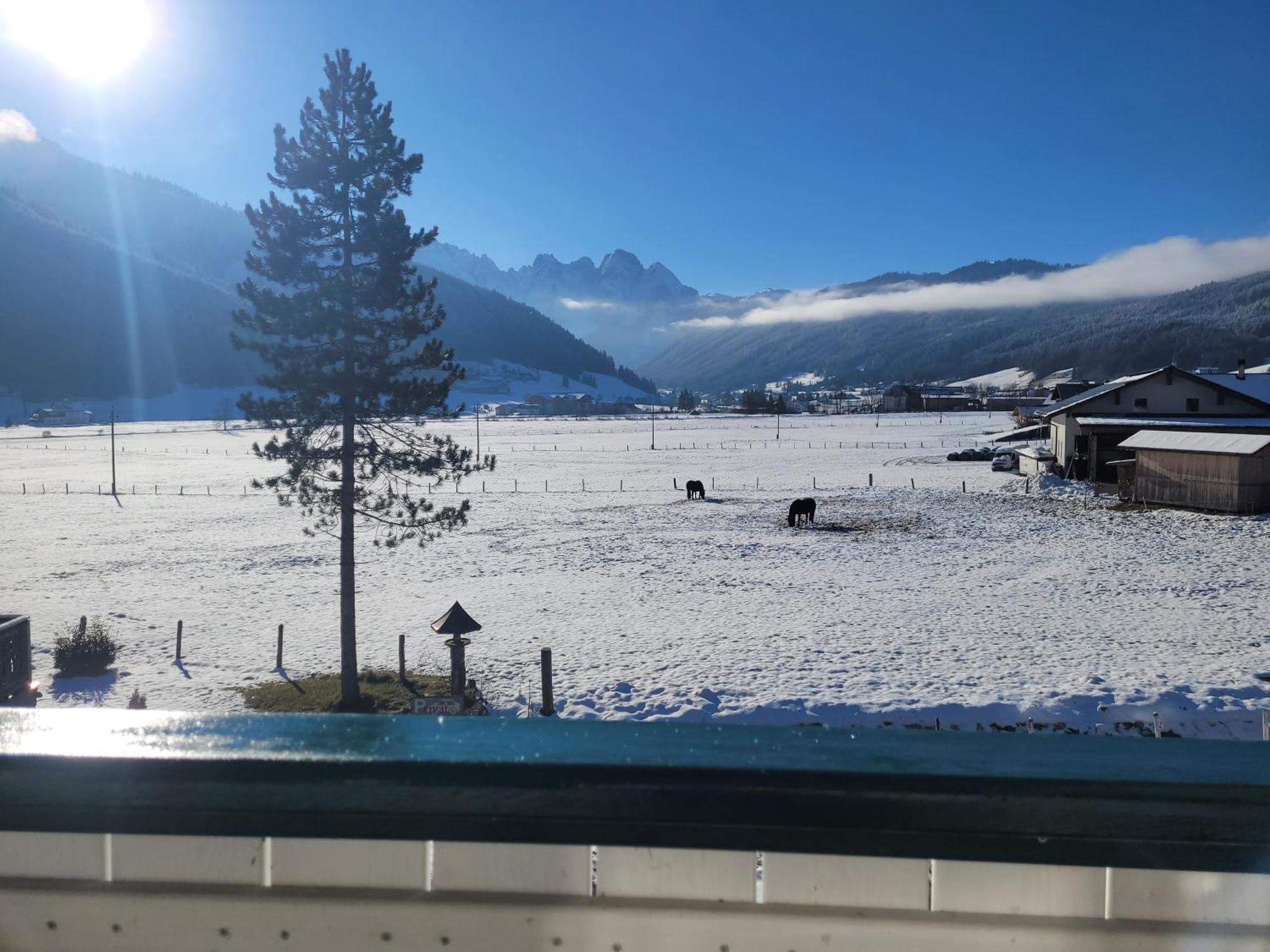 Apartmenthaus Edelweiss In Gosau Dış mekan fotoğraf