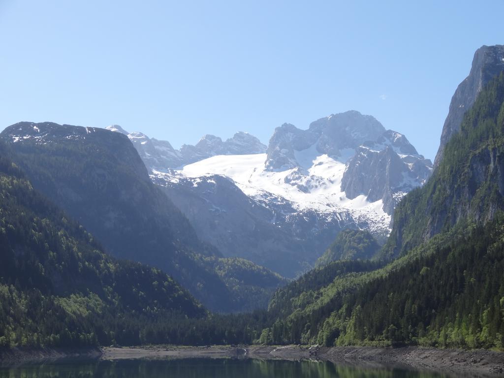 Apartmenthaus Edelweiss In Gosau Oda fotoğraf